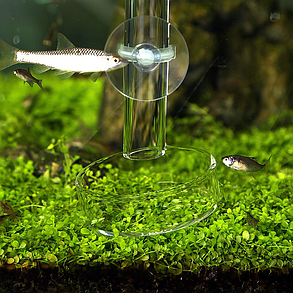 Годівниця AQUAXER Glass Bottom 25 см., фото 3