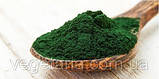 Спіруліна порошок 100г Top Spirulina, фото 3