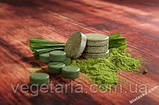 Спіруліна порошок 100г Top Spirulina, фото 8