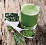Спіруліна порошок 100г Top Spirulina, фото 9