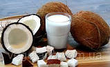Молоко рослинне сухе кокосове вагове Topnatur, фото 5