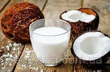 Молоко рослинне сухе кокосове вагове Topnatur, фото 6