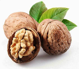 Горіх волоський ваговий