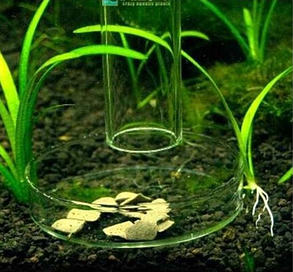 Годівниця AQUAXER Glass Bottom 25 см., фото 4