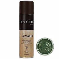 Спрей для замши та нубука хакі Coccine Ravvivant 55/59/250/321