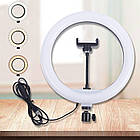 ОПТ Кільцева світлодіодна селфи лампа Selfie Ring Fill Light ZD666 10 Вт D=26 см 5500K - 3200К, фото 3