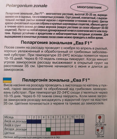 Пеларгонія Ева F1 5шт, фото 3