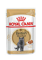 Влажный корм для кошек британской породы Royal Canin British Shorthair Adult 85 г полнорационный