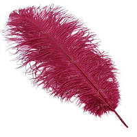 Перья страуса Strike Ostrich Feathers - Red