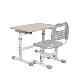 Зростаюча парта трансформер FunDesk Piccolino II Grey, фото 6