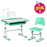 Комплект парта + стілець трансформери Cubby DISA GREEN, фото 9