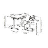 Дитяча парта-ростишка та стільчик FunDesk Piccolino Grey, фото 10