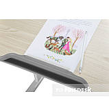 Гуртова парта + стільчик для школяра Fundesk Lavoro Grey, фото 2