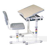 Дитяча парта-ростишка та стільчик FunDesk Piccolino Grey, фото 3