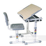 Дитяча парта-ростишка та стільчик FunDesk Piccolino Grey, фото 4