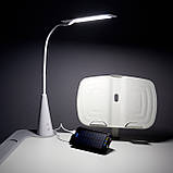 Дитяча парта зі стільчиком FunDesk Bellissima Grey, фото 8