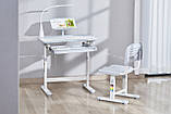 Дитяча парта зі стільчиком FunDesk Bellissima Grey, фото 3