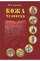 Шкіра людини. Структура, фізіологія та призначення функціональних елементів шкірного органу людини