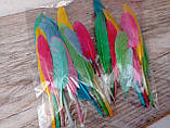 Пір'я декоративні кольорові, мікс кольорів h 7-15 см 10 шт\уп., фото 4