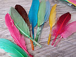Пір'я декоративні кольорові, мікс кольорів h 7-15 см 10 шт\уп., фото 2