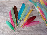 Пір'я декоративні кольорові, мікс кольорів h 7-15 см 10 шт\уп., фото 8