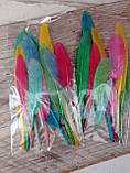 Пір'я декоративні кольорові, мікс кольорів h 7-15 см 10 шт\уп., фото 9