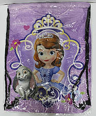 Сумка для зміни Сумка для спортивного одягу Принцеса Софія 430-4, фото 3