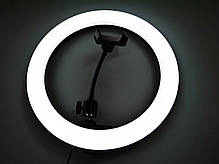 Кільцева лампа LED S31 (1 кріп.тел.) (кер. на дроті) USB (30 см), фото 3