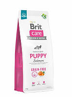 Cухий корм для собак BRIT CARE PIES 12кг PUPPY SALMON GRAIN-FREE