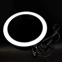 Кільцева лампа з кріпленням для телефона LED Ring Fill Light QX-260 26 см (1 кріп.тел.) (USB), фото 2