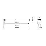 BactoSfera BS 75W T8/G13-ECO HO, фото 3