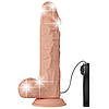 Реалістичний вигнутий вібратор на присосці Beautiful Encounter Buraq Vibrator Flesh, фото 6
