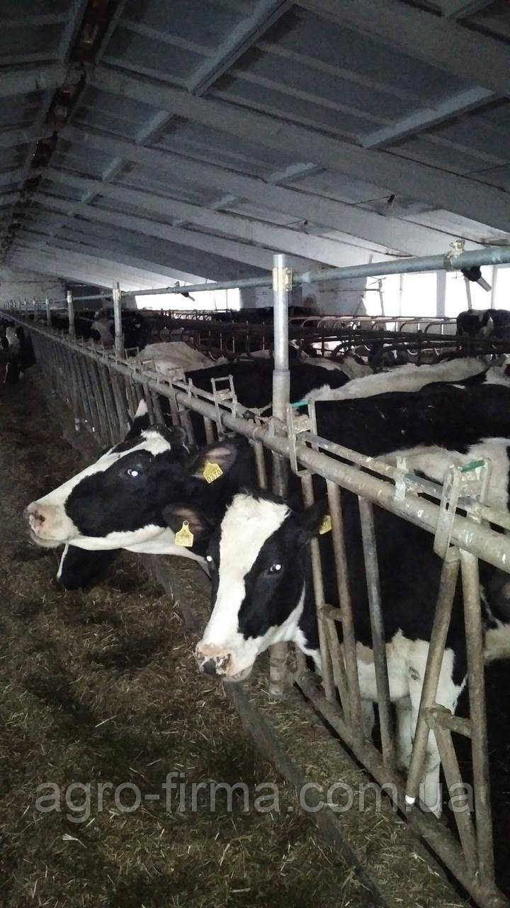 Вакуумпровід, фото 1