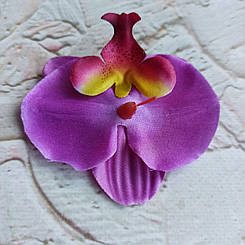 Головки орхідеї бузкові