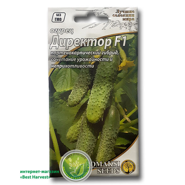 Насіння огірка "Директор F1" 0.25 г, партенокарпічний