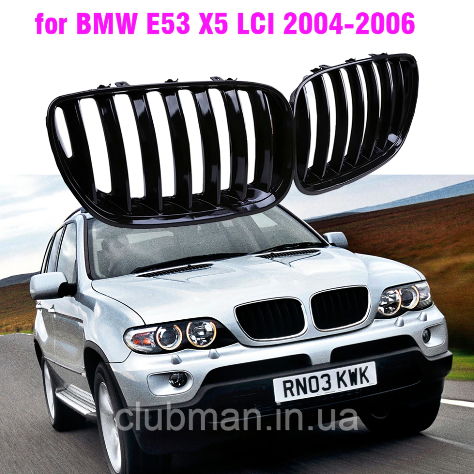 Решітка ноздрі BMW (БМВ) X5 series E53 LCI (2004 - 2006) Глянець