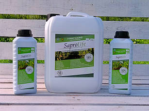 Наша стаття про гумати вже достуна для перегляду!!!