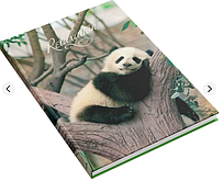 Ділова книга А4 176арк клітинка АРКУШ офсетний папір 1В2375, Панда
