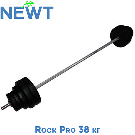 Штанга набірна композитна в пластиковій оболонці Newt Rock Pro 38 кг, фото 1