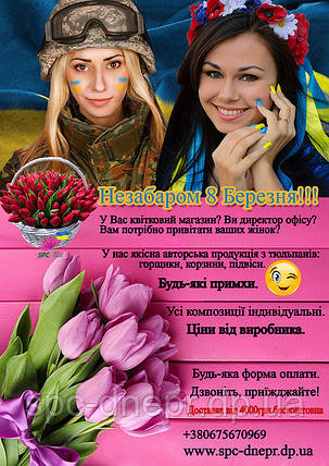 Тюльпани в горщиках (тільки Дніпро), фото 1