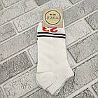 Шкарпетки чоловічі короткі літо сітка р.41-45 цифи асорті ПОТАП ДУКАТ 30037440, фото 2