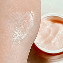 Відновлюючий крем з пробіотиками CU Skin Dr.Solution Bifida Barrier Cream, фото 5