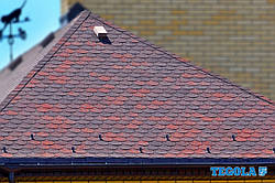 Бітумова черепиця Tagola Traditional