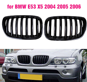 Решітка ноздрі BMW (БМВ) X5 series E53 LCI (2004 - 2006) Матова