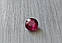Рубін 1.56 Ct. 6.8 x 6.8 x 3.5 mm, фото 3