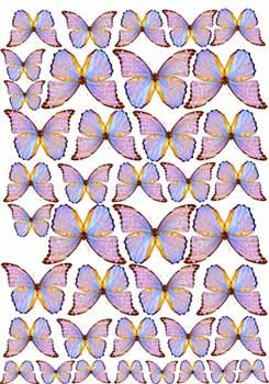 Вафельна картинка "Метелики 17" А4, 20х30 см