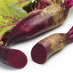 Насіння буряка Ломако (фр 3,5-4,25) , 100 000 шт - середньостиглий сорт, циліндрична, Rijk Zwaan