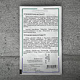 Кукурудза Спіріт F1 5 г насіння пакетоване Агропак, фото 2