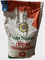 Семена подсолнечника СОЛЯРИС (экстра) НС Х 6376 Классический подсолнечник устойчив к заразихи 7+ Сады Украины
