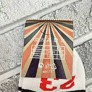Шкарпетки чоловічі короткі літо сітка р.41-45 цифи асорті ПОТАП ДУКАТ 30037440, фото 4